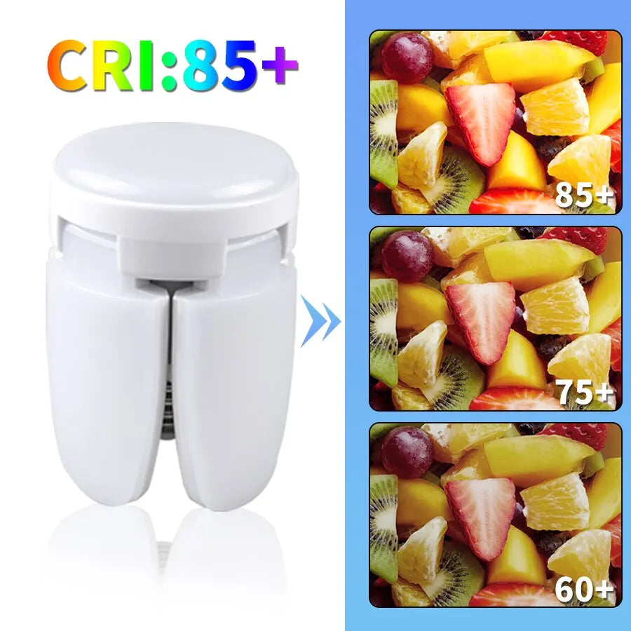 Fan Shape LED Bulb