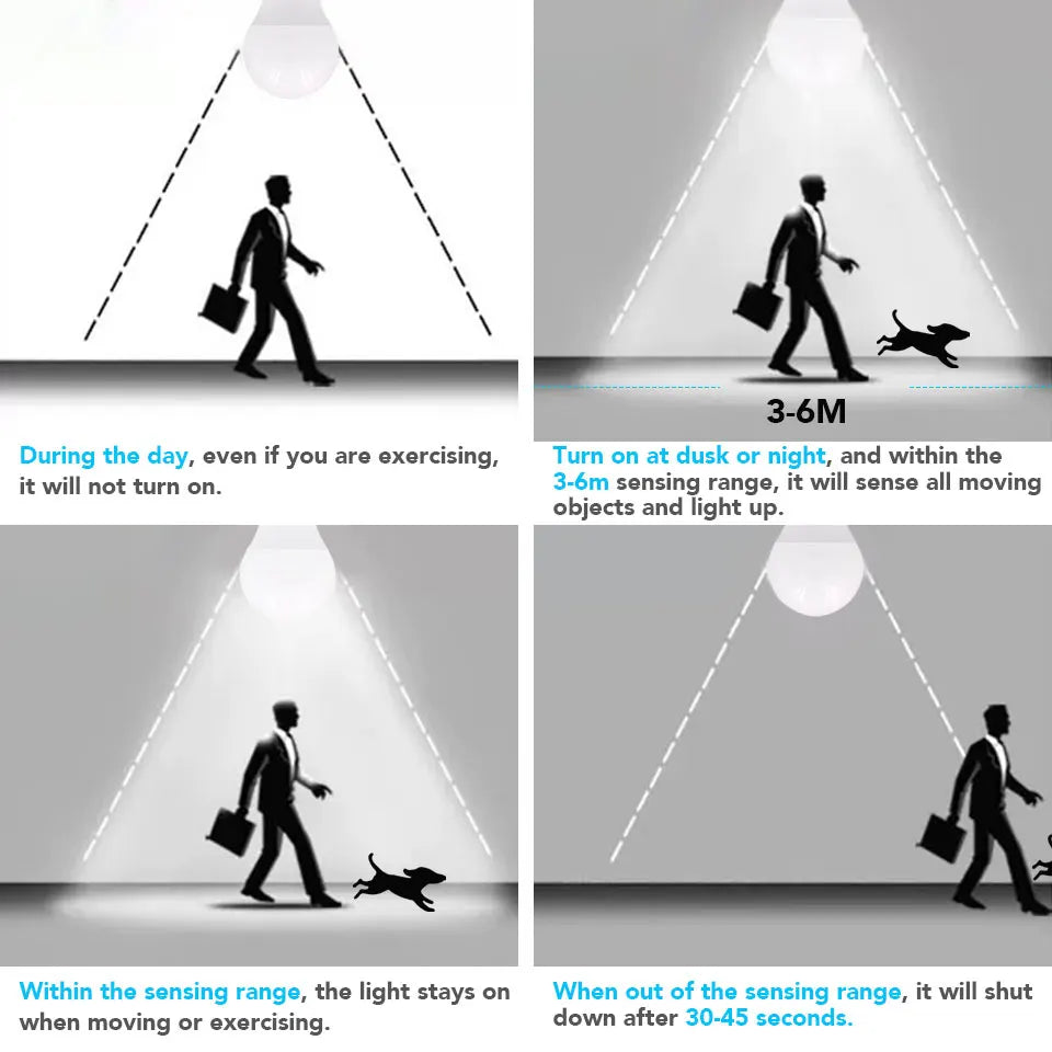 Llight Bulb