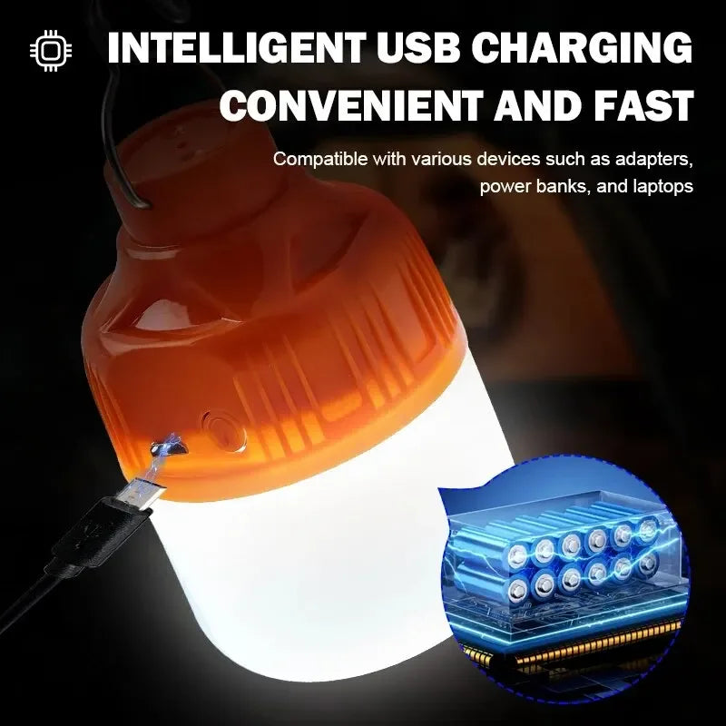 Rechargeable Light Bulbs