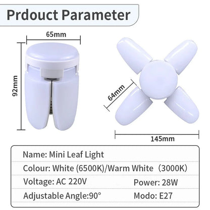 Fan Shape LED Bulb