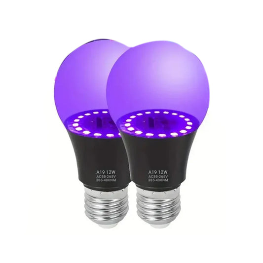 Fluorescent Light Bulbs