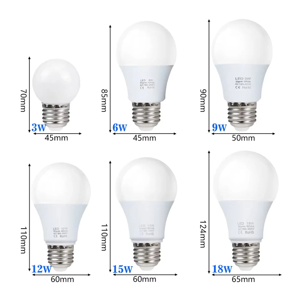 LED Bulb Lamps
