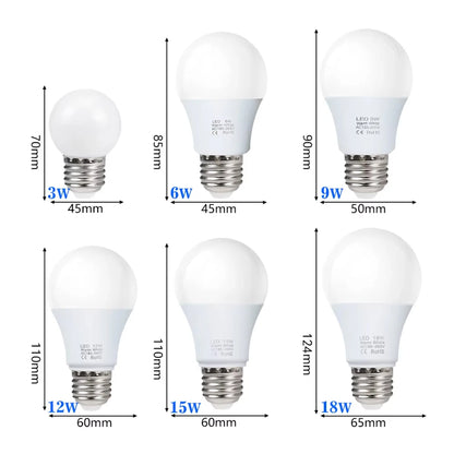LED Bulb Lamps