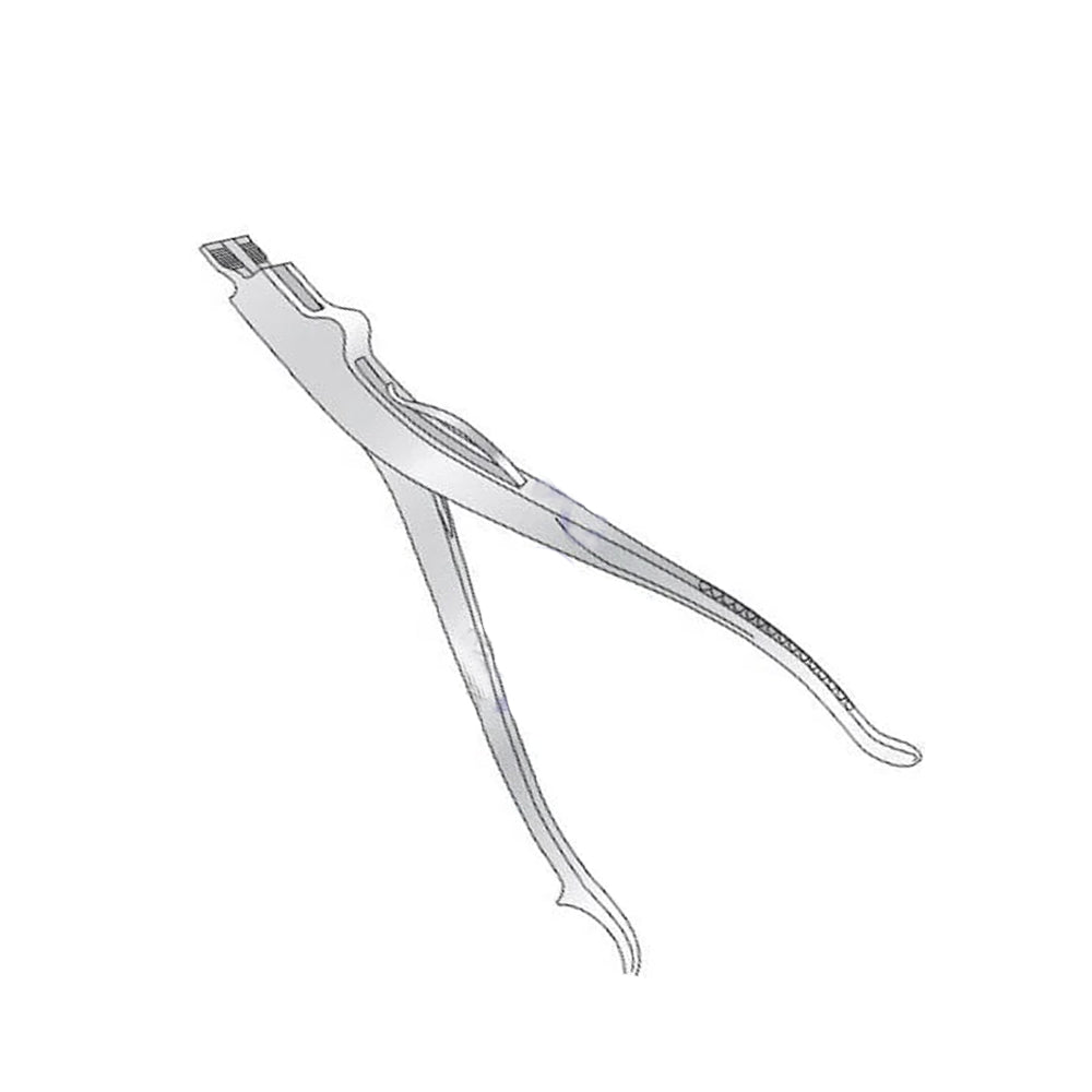 Lawton Palster Spreader