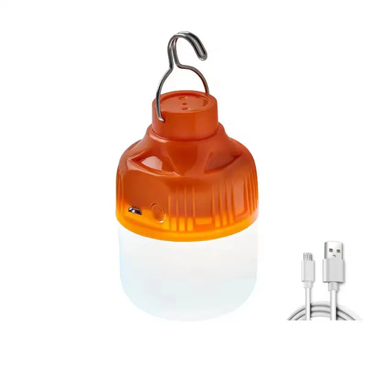 Rechargeable Light Bulbs