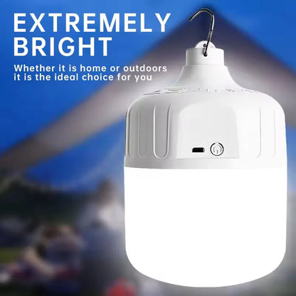 Rechargeable Light Bulbs