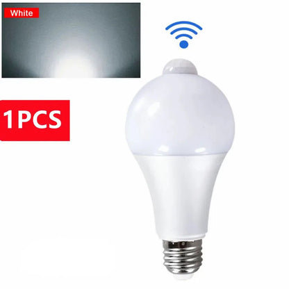 Llight Bulb