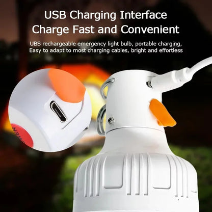 Portable LED Bulb
