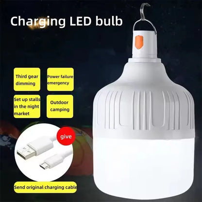 Portable LED Bulb