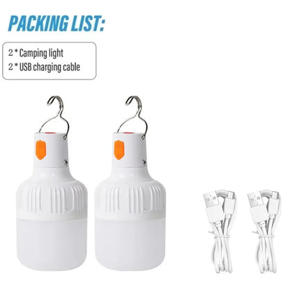 Portable LED Bulb
